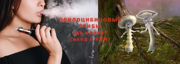 сатива Алексеевка