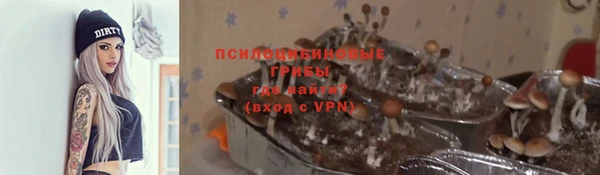 сатива Алексеевка