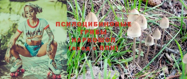 трава Алзамай