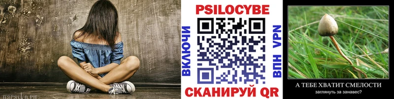 что такое наркотик  omg tor  Псилоцибиновые грибы GOLDEN TEACHER  Зверево 